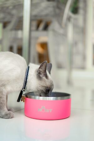 Bowl para Mascotas de Acero Inoxidable
