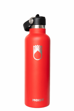 Botella Térmica 740 ml. c/ Tapa pico